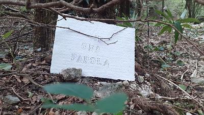 PAROLA PER PAROLA (22)